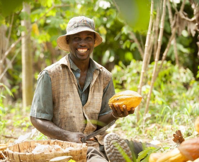 Agriculteur cacao